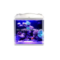 Haanta Kalluunka ee Sunsun Acrylic iyo Dest Aquarium
